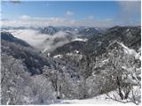 Tourist farm Gonte - Tošč